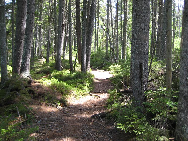 PemiTraverse (19).JPG - The wide, flat trail made for quick walking.